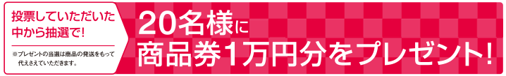 投票していただいた中から抽選で9名様にプレゼントが当たる!!